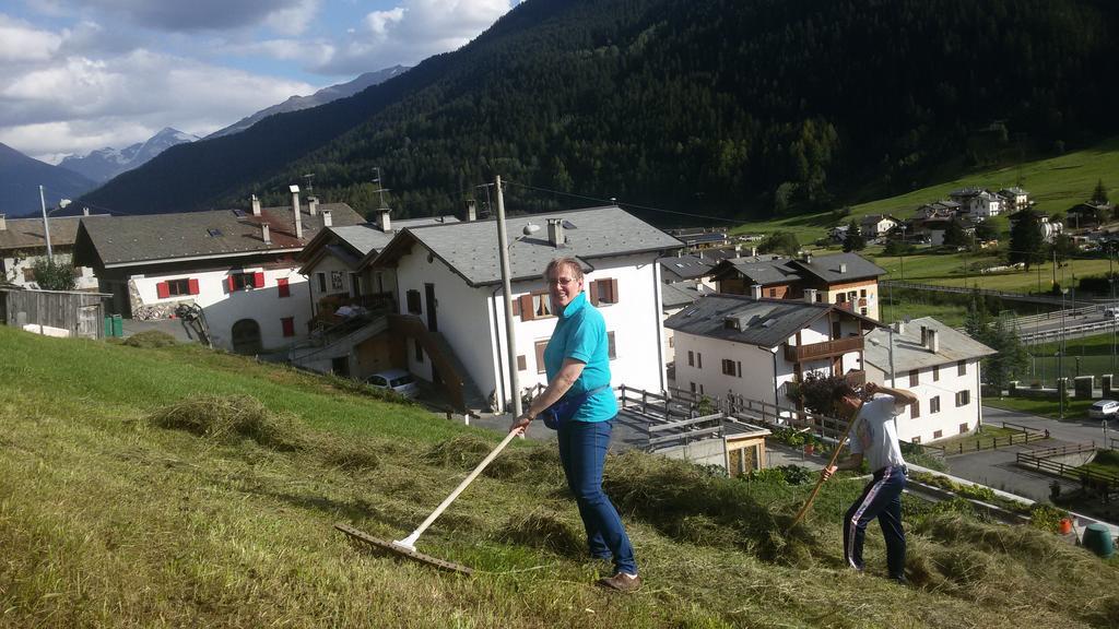 Agriturismo Raethia Isolaccia Exterior photo